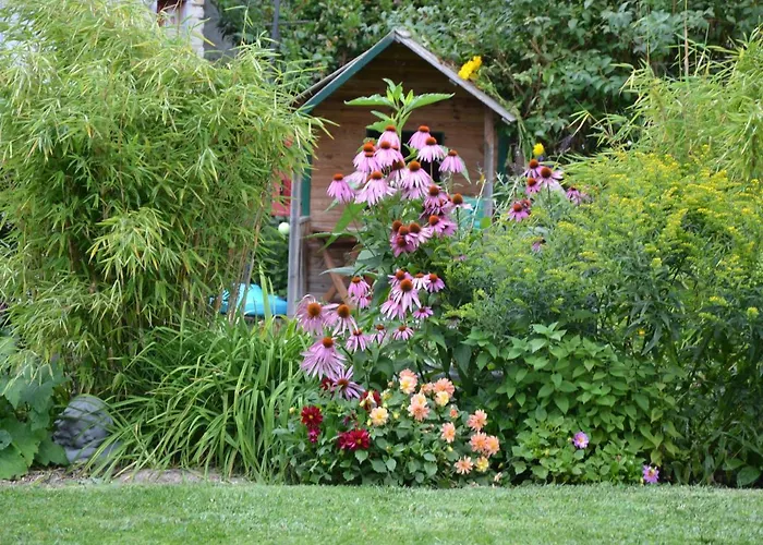 Casa de hóspedes Les Celestines Lavannes